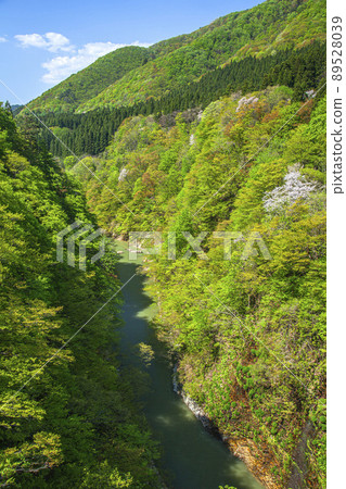 Fresh green Oyasukyo Fresh green Oyasukyo 89528039