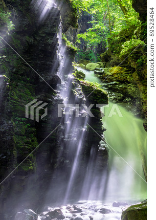 [Sukkanzawa, Tochigi Prefecture] Yuhino Falls, where water splashes are lifted July August 89528464