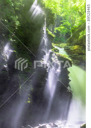 [Sukkanzawa, Tochigi Prefecture] Yuhino Falls, where water splashes are lifted July August 89528465