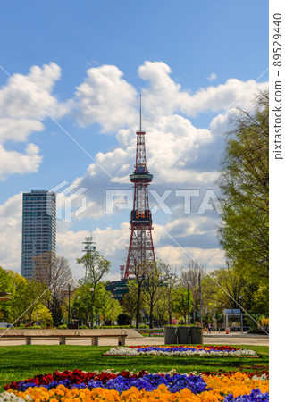 札幌電視塔城市景觀奧運馬拉松 89529440