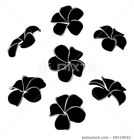 Plumeria silhouette illustration set Plumeria silhouette illustration set 89529692