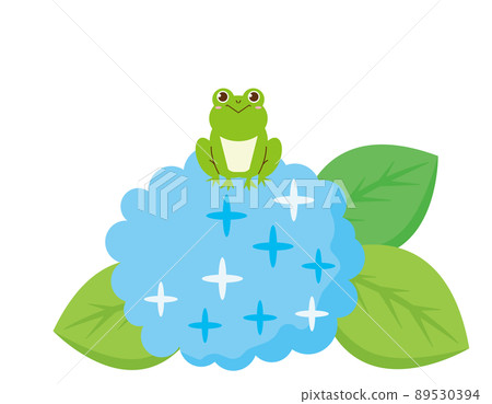 Cute frog hydrangea vector illustration Cute frog hydrangea vector illustration 89530394