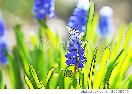 柔和的“Muscari”插圖圖像 89530945