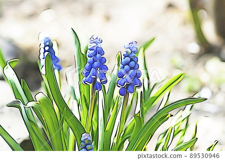 柔和的“Muscari”插圖圖像 89530946