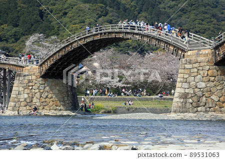 Sakura Kintaikyo Bridge 89531063