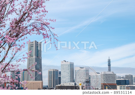 櫻花之外的橫濱港未來 櫻花之外的橫濱港未來 89531114