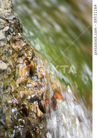 以螢火蟲為食的河wan 以螢火蟲為食的河wan 89531164