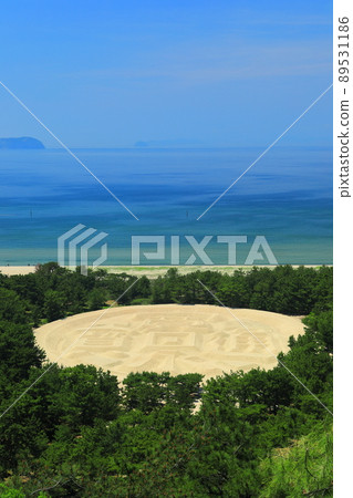 [Kagawa Prefecture] Fresh green coin-shaped sand painting 89531186