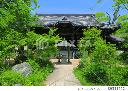 [Kagawa Prefecture] Fresh green Shidoji Temple Main Hall (86th Shidoji Temple) 89531232