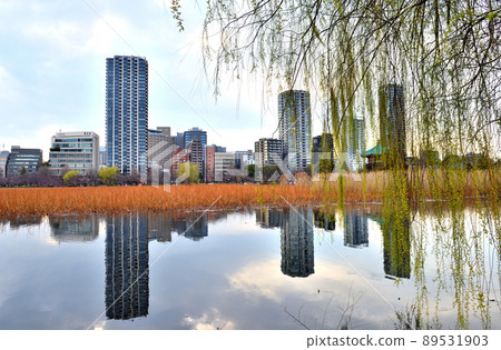 不忍池的柳樹和對岸的城市景觀映照在水面上 不忍池的柳樹和對岸的城市景觀映照在水面上 89531903