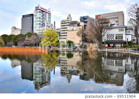 映照在上野不忍池中的上野小鎮 映照在上野不忍池中的上野小鎮 89531904