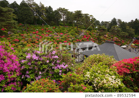Shiofune Kannonji Temple的五顏六色的杜鵑花 Shiofune Kannonji Temple的五顏六色的杜鵑花 89532594