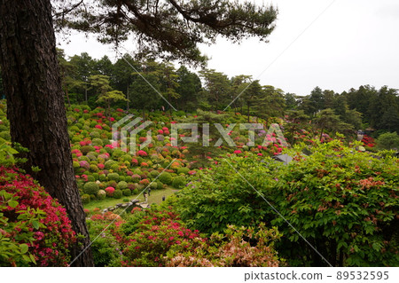Shiofune Kannonji Temple的五顏六色的杜鵑花 Shiofune Kannonji Temple的五顏六色的杜鵑花 89532595