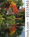 Shukkeien autumn leaves 89533468