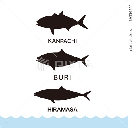 Fish silhouette 89534593
