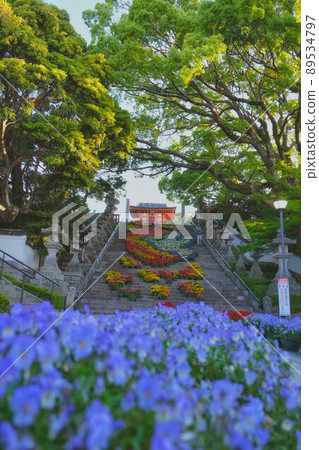 防府天滿宮花廊 2022 山口縣防府市 89534797