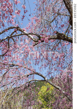 Hinohara Village, Tokyo 89535082