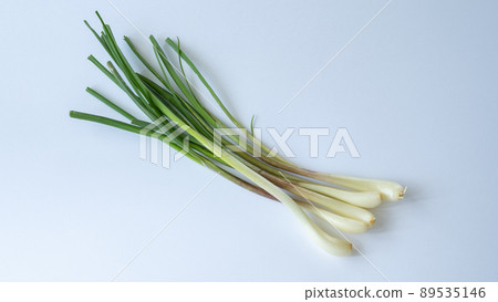 根蔥和蔥 89535146