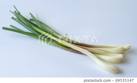 根蔥和蔥 89535147