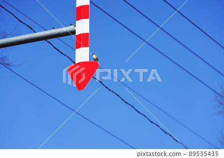 Road sign: A sparrow that stops at the arrow feather Road sign: A sparrow that stops at the arrow feather 89535435
