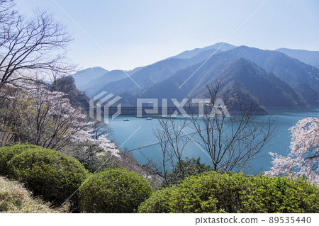 Lake Okutama and Sakura Spring Scenery April Tokyo Lake Okutama and Sakura Spring Scenery April Tokyo 89535440