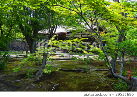 初夏時節,綠樹環繞的京都市嘉住寺正殿 初夏時節,綠樹環繞的京都市嘉住寺正殿 89535690