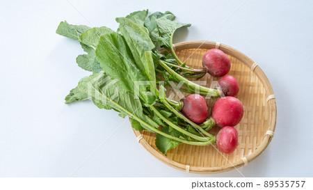 蘿蔔和蘿蔔 89535757