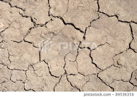 Dry cracked soil. Cracked and torn brown earth Dry cracked soil. Cracked and torn brown earth 89536358