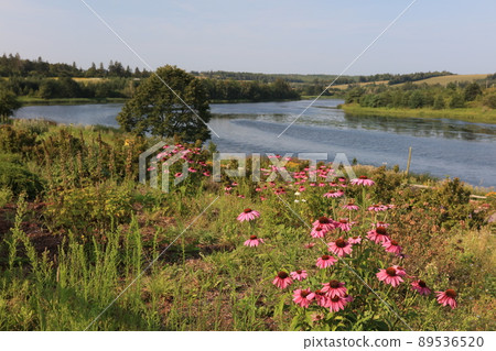 Canada's Redhead Anne Island Prince Edward Island Canada's Redhead Anne Island Prince Edward Island 89536520