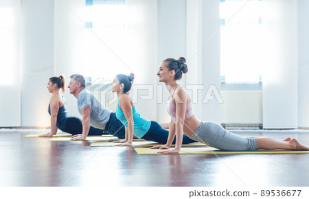 Women and men in yoga class doing the upward facing dog pose 89536677