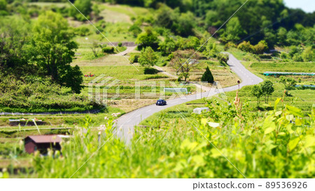 飛鳥村稻淵風景西洋鏡風格 飛鳥村稻淵風景西洋鏡風格 89536926