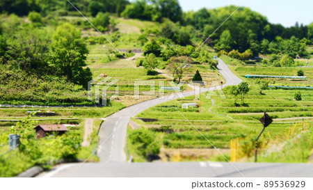 飛鳥村稻淵風景西洋鏡風格 飛鳥村稻淵風景西洋鏡風格 89536929