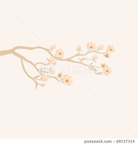 Branch soft brown flower isolated on white background. Branch soft brown flower isolated on white background. 89537314