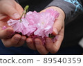 A child holding a double cherry blossom petal with both hands 89540359