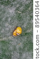 Two yellow ladybugs carrying happiness 89540364