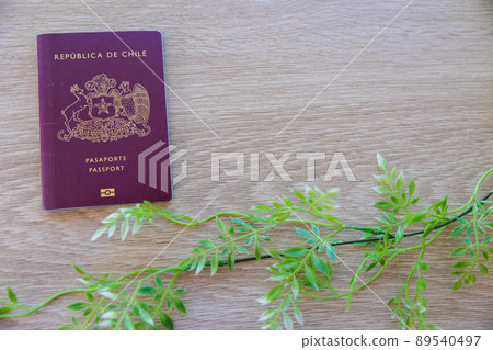 Chilean passport Chilean passport 89540497