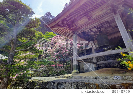 Shikoku Pilgrimage No. 60 Fudasho Yokomineji Tsurigane and Rhododendron Shikoku Pilgrimage No. 60 Fudasho Yokomineji Tsurigane and Rhododendron 89540769