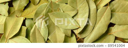 Dry bay leaves panorama. Laurel leaf panoramic banner Dry bay leaves panorama. Laurel leaf panoramic banner 89541004