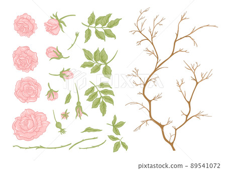 Roses flowers on branches. Millefleurs trendy floral design 89541072