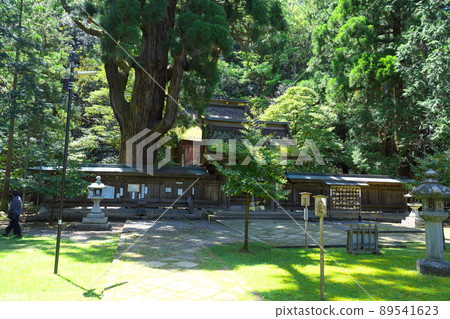 [Wakasa Kuniichinomiya] Early summer scenery of the worship hall of Wakasahime Shrine 4 Obama City, Fukui Prefecture 89541623
