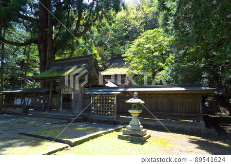 [Wakasa Kuniichinomiya] Early summer scenery of the worship hall of Wakasahime Shrine 5 Obama City, Fukui Prefecture 89541624