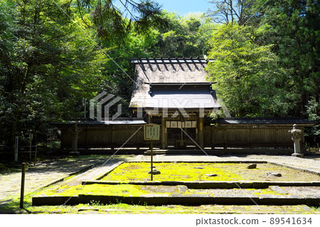 [Wakasa Kuniichinomiya] The worship hall of Wakasahiko Shrine and the scenery of early summer in the precincts 1 Obama City, Fukui Prefecture 89541634