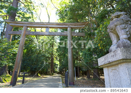 [若狹國一宮]若狹彥神社的鳥居和參拜的初夏風景2福井縣小濱市 89541643