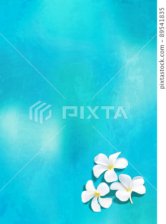 Refreshing blue background and white plumeria flowers 89541835