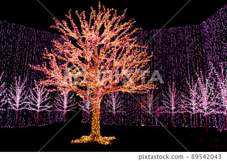 illumination illumination 89542043