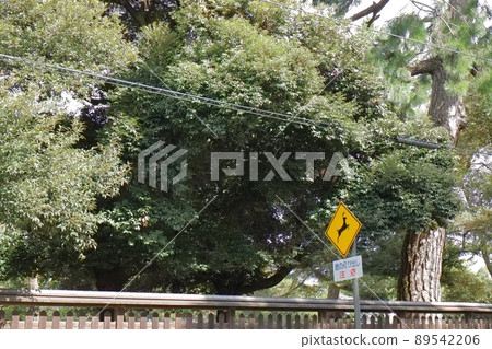 Deer pop-out caution sign Deer pop-out caution sign 89542206