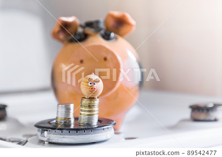 the concept of insurance and savings .two toy pigs on a background of coins and a gas burner the concept of insurance and savings .two toy pigs on a background of coins and a gas burner 89542477