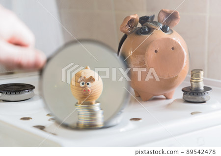 a hand with a magnifying glass indicates that the toy pig is on the coin column.tools for the concept of proper allocation of funds 89542478