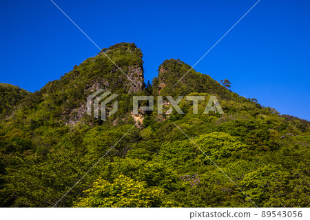 [Niigata Prefecture, Sado Kinzan] Meiji government-owned mining course, Doyu no Warito 89543056