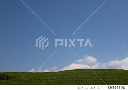 從茶園小淵笠場眺望富士山的壯麗景色 從茶園小淵笠場眺望富士山的壯麗景色 89543108